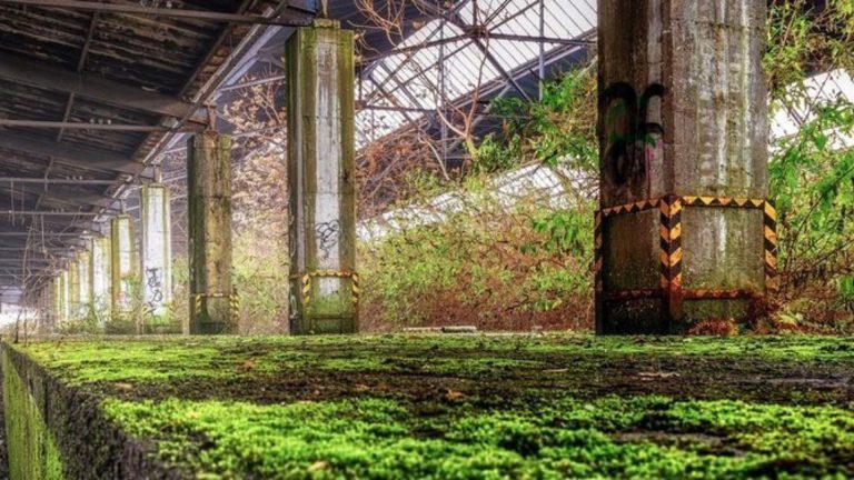 2019. évi konferencia program “Kármentesítés és barnamezős beruházások”