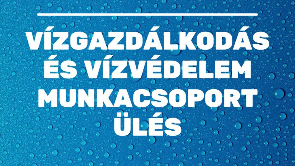 Vizgazd 3