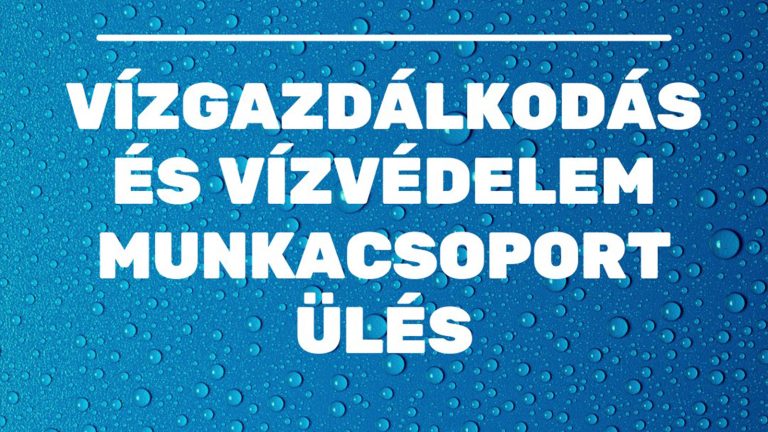 Vizgazd 3