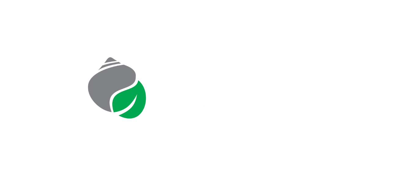 Logo Eng Web