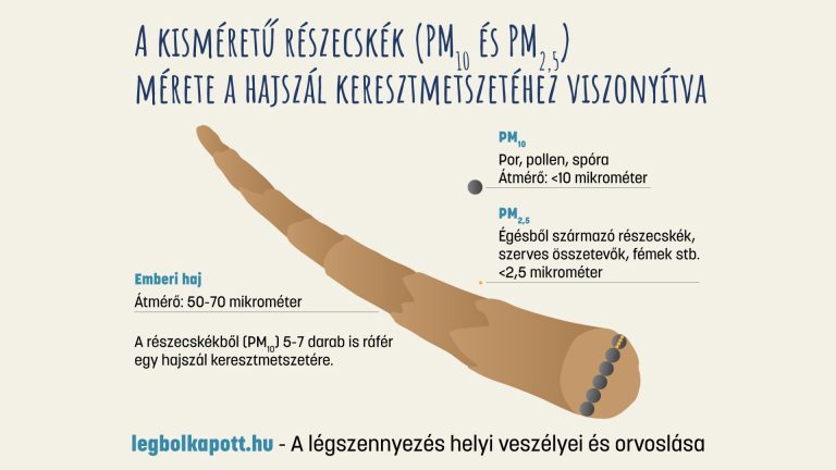 Legbolkapott Thumbnail