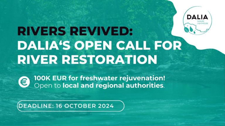 Dalia Oc Web Picture1